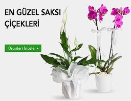 Karşıyaka Demirköprü Çiçekçi