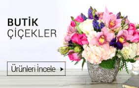 Demirköprü çiçek   saksı çiçekleri